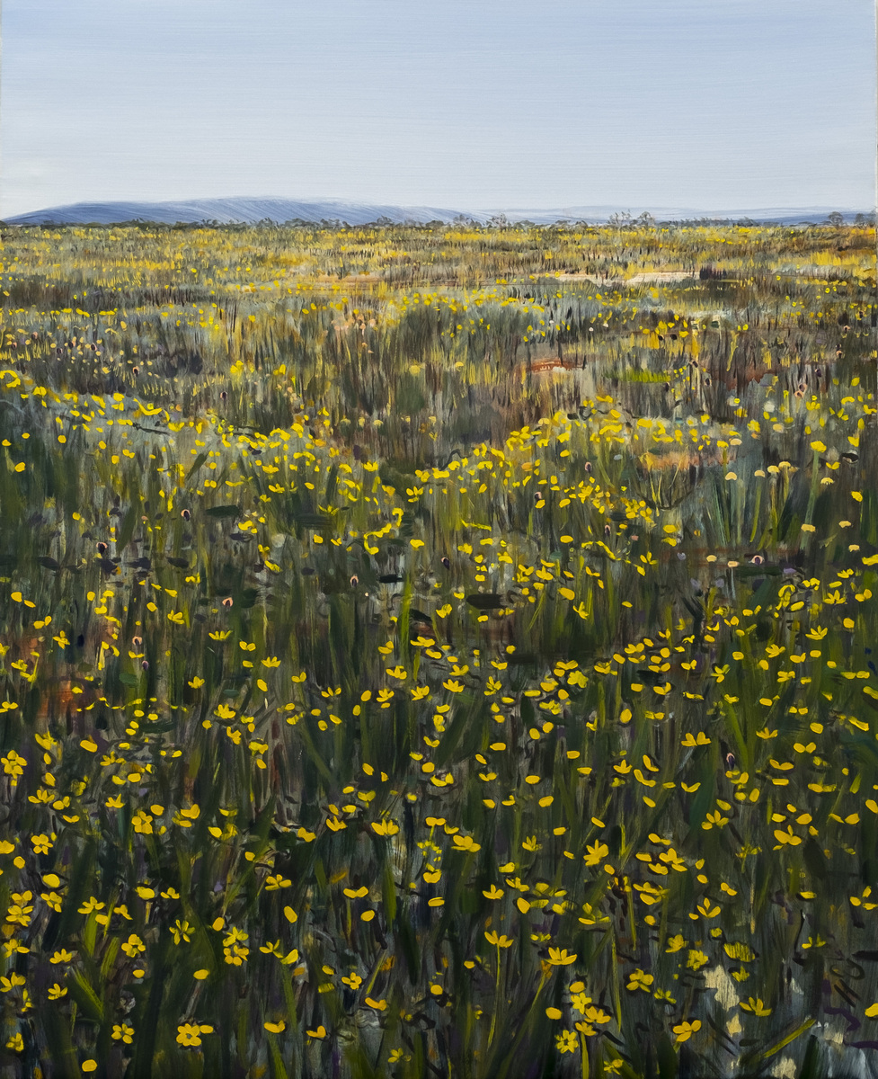 Desert Bloom